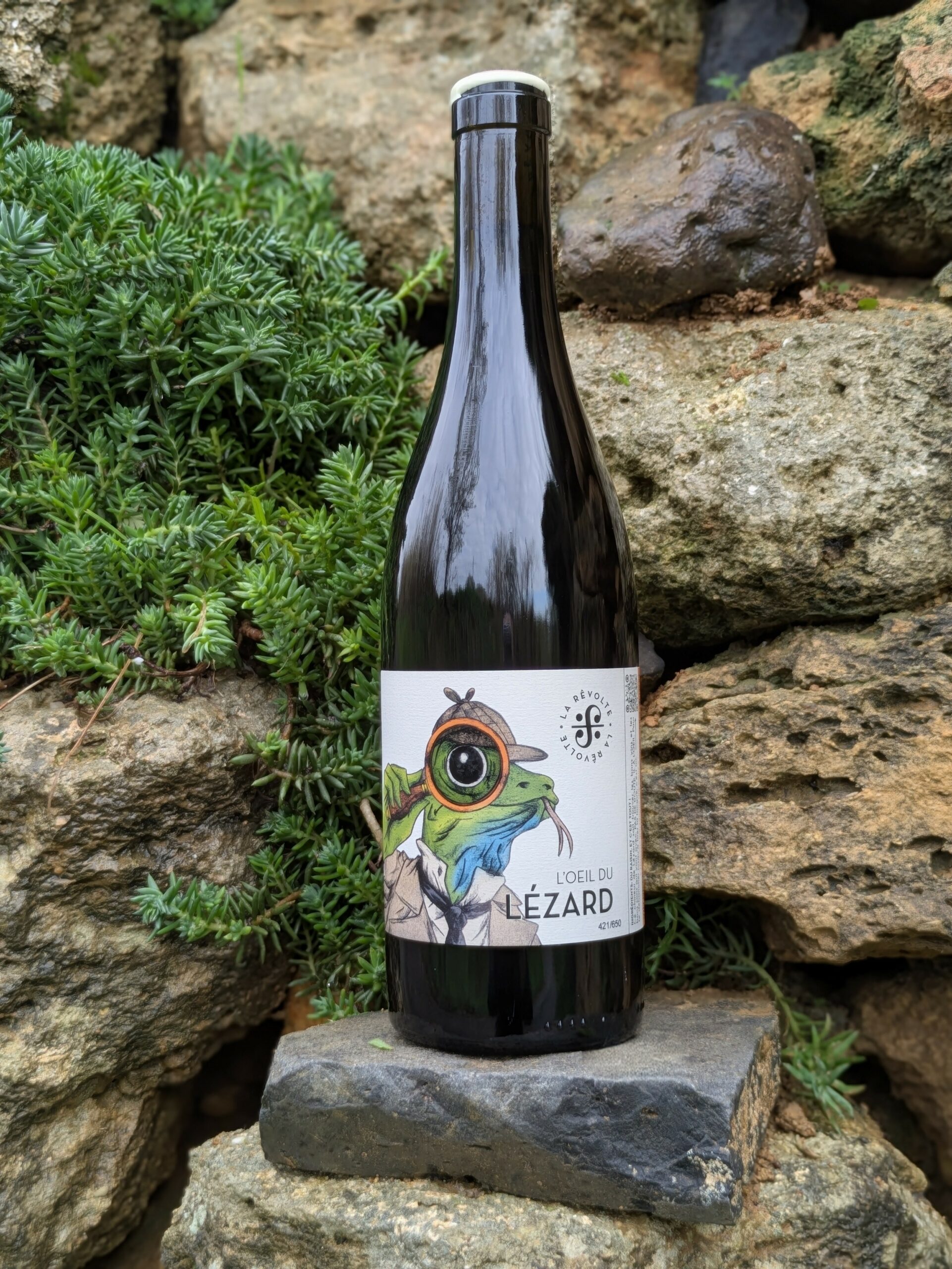 L&rsquo;Oeil du Lézard